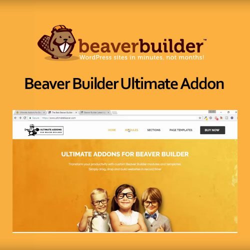 Beaver Builder Pro