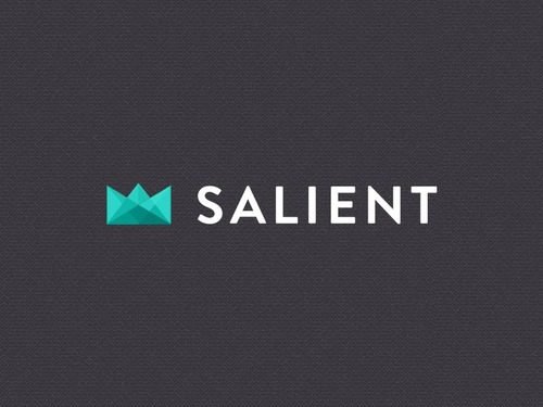 Salient – Responsive Multi-Purpose Theme