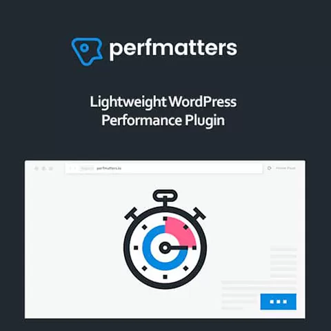 Perfmatters – Lightweight WordPress Performance Plugin