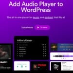 Sonaar MP3 Music Player PRO