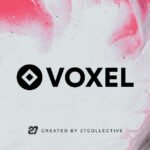 Voxel Pro