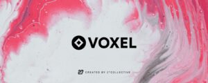 Voxel Pro